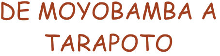 DE MOYOBAMBA A TARAPOTO
