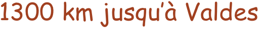 1300 km jusqu’à Valdes