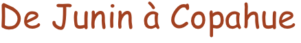 De Junin à Copahue