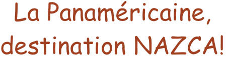 La Panaméricaine, destination NAZCA!